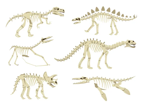 Esqueleto Dinosaurio Conjunto Plano Con Fósiles Seis Criaturas Antiguas Ilustración — Vector de stock