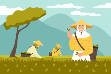 Geleneksel olay yeri düz vektör illüstrasyonu ile çay üretim süreci kavramı