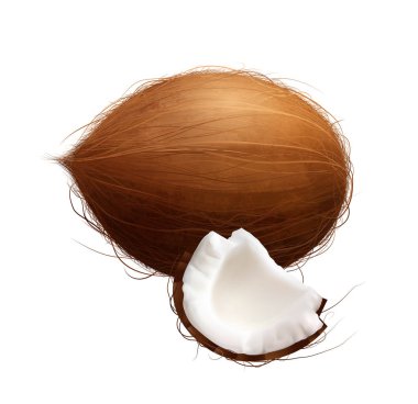 Olgun meyvelerin izole edilmiş resimleriyle egzotik meyve gerçekçi bileşimi ve boş arkaplan vektörü resimlerinde dilimler.