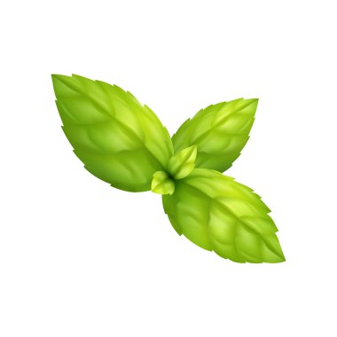 Nane Çiçeği Gerçekçi Kompozisyonu