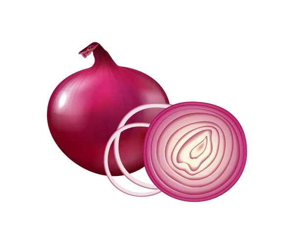 Realistic Onion Vegetable Composition - Stok Vektor