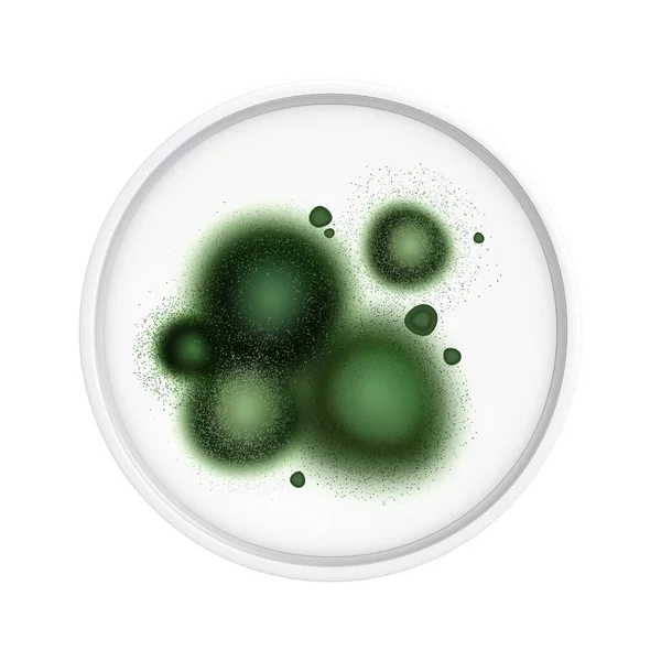 Green Fungus Spots Composition — Image vectorielle