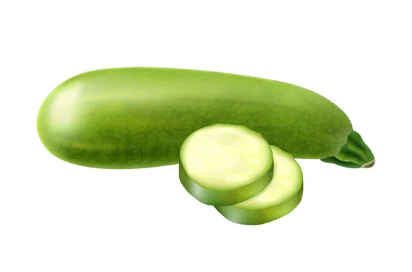 Realistic Marrow Vegetable Composition — Image vectorielle