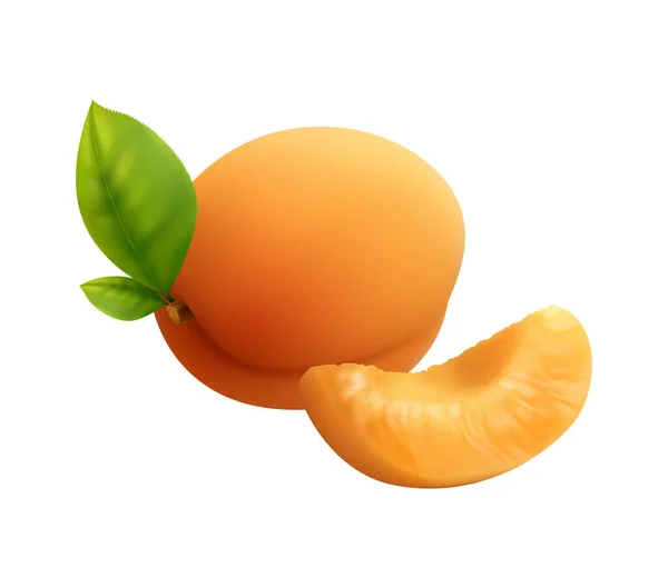 Realistische Zusammensetzung der Aprikosenfrüchte — Stockvektor