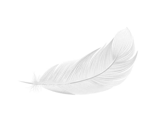 Realistic Pure Feather Composition — Stockvector