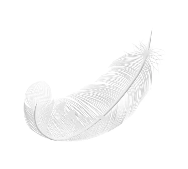 Soft Feather Realistic Composition — Vetor de Stock