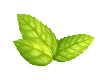 Nane Yaprakları Gerçekçi Bileşimi