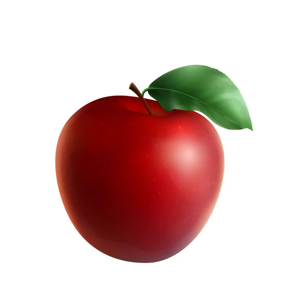 Realistické složení červeného jablka — Stockový vektor