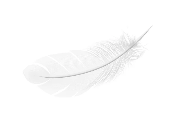 푹신 한 깃털의 현실적 인 배치 — 스톡 벡터