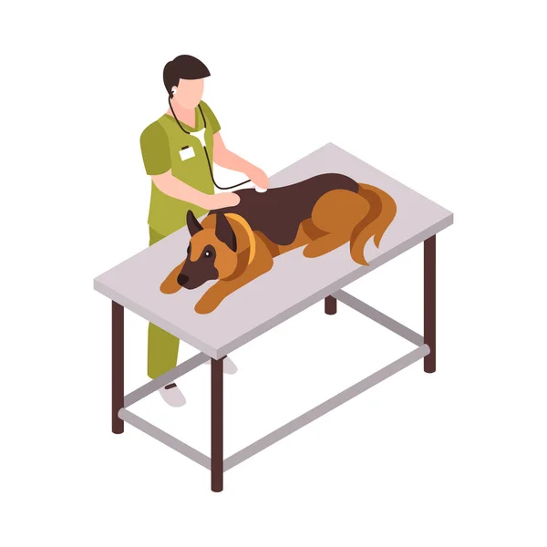 Vet With Dog Composition — Stock Vector