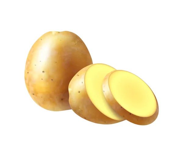 Реалистичная картофельная растительная композиция — стоковый вектор