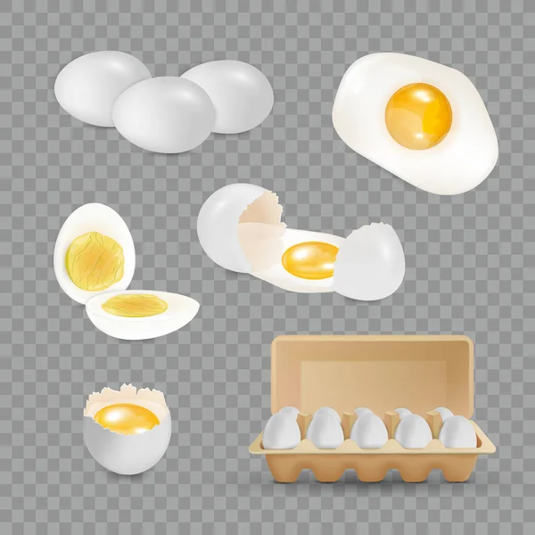 Yumurta gerçekçi kümesi — Stok Vektör