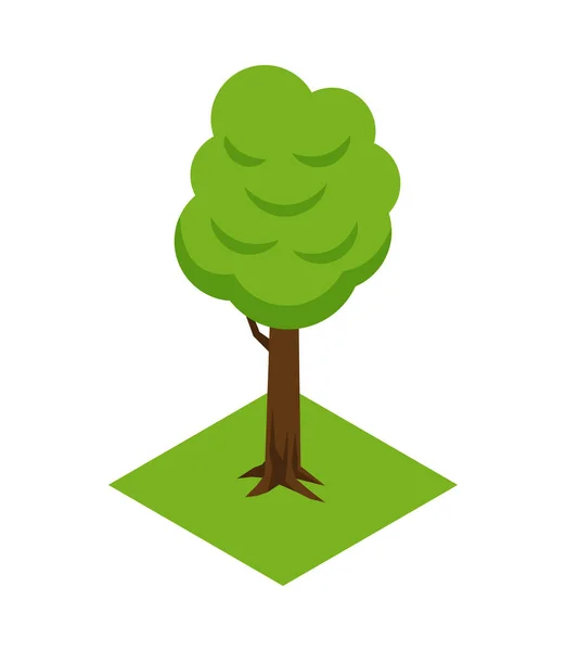 Park Tree Isometric Composition — Stockový vektor