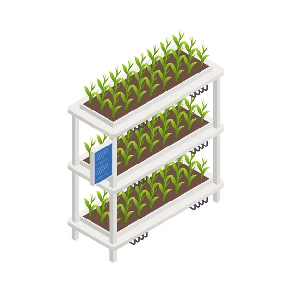 Moderna composición de los estantes de invernadero — Vector de stock