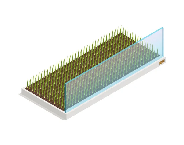 Современная композиция парниковой плантации — стоковый вектор