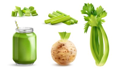 Realistic celery icon set chunks of sliced stem round root and green smoothie vector illustration clipart