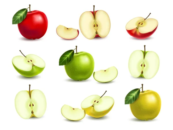 Realistyczny Zestaw Całego Wyciąć Różne Jabłka Kolor Izolowane Wektor Ilustracji — Wektor stockowy