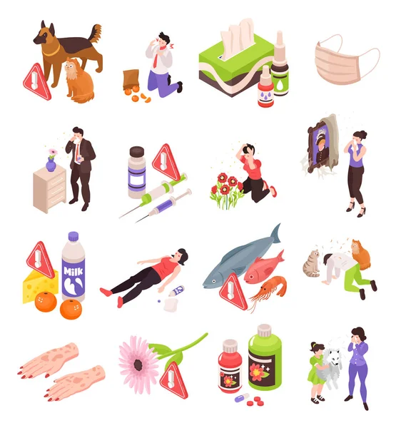 Isometric Allergy Set Isolated Icons Allergen Food Pets Flowers Suffering — Stock Vector