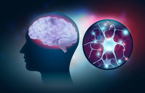 Nsan Beyni Kafa Profili Parlayan Nöron Vektör Illüstrasyonuyla Gerçekçi Bileşim — Stok Vektör