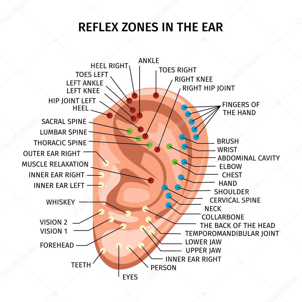 Realistic ear reflex zones composition with diagram of acupuncture points and editable text captions with pointers vector illustration