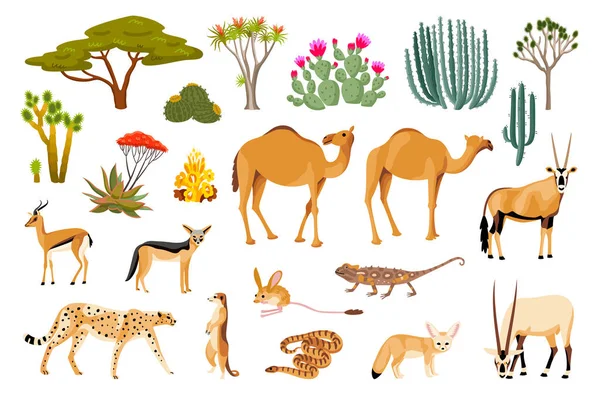 Desert Flora Fauna Cartoon Set Van Reptiel Kameel Luipaard Slang — Stockvector