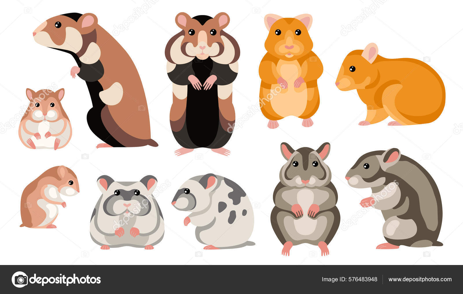Fundo Desenho De Hamster De Desenho Animado Fácil E Fofo Fundo
