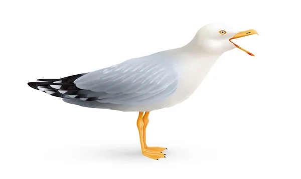Plačící Racek Realistické Složení Izolovaným Obrazem Mořského Ptáka Otevřeným Zobákem — Stockový vektor