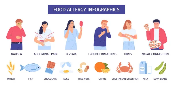 Food Allergy Infographic Nausea Abdominal Pain Eczema Trouble Breathing Hives — Stock Vector