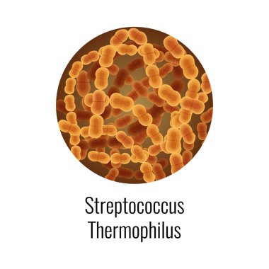 Probiyotikler izole edilmiş görüntü ve düzenlenebilir metin vektör illüstrasyonuyla insan vücudu sağlığı bileşimine yarar
