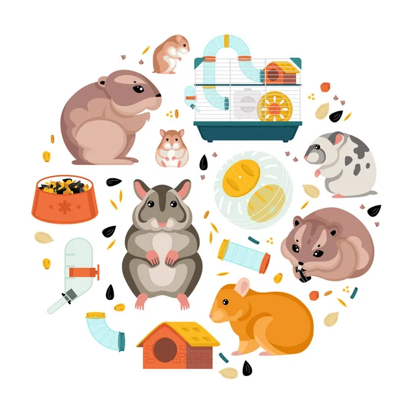 Hamster Flache Runde Komposition Mit Niedlichen Tieren Futter Und Käfig — Stockvektor