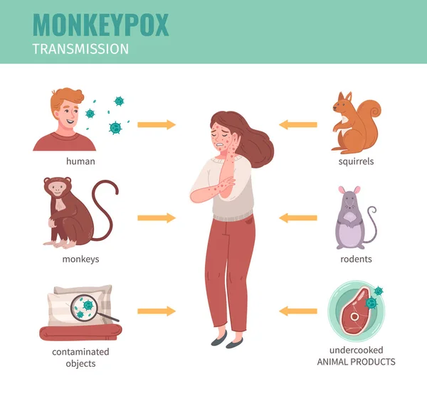 Monkey Koppor Virus Infographics Med Överföringsvägar Från Människor Och Djur — Stock vektor