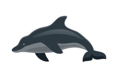 Boş arkaplan vektörü illüstrasyonunda düz izole edilmiş görüntüyle yeni Zelanda turizm seyahat bileşimi