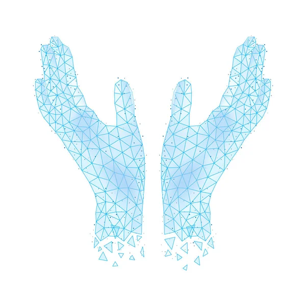 Polygonal Wireframe Hands Composition Isolated Image Human Hands Covered Polygons — Stock Vector