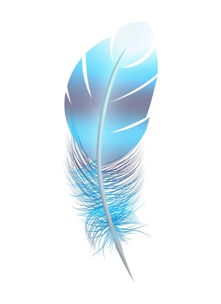 空白背景矢量图上彩色鸟类羽毛孤立图像的彩色羽毛写实主义构图 — 图库矢量图片