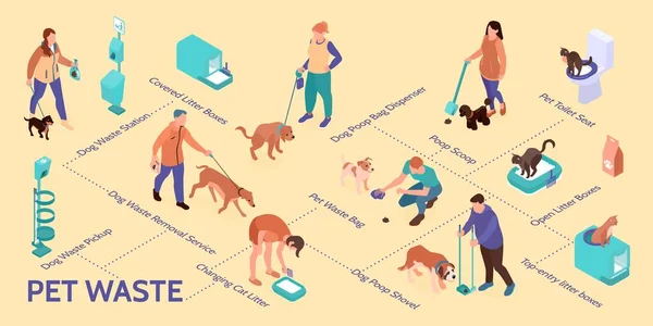 People Cleaning Pets Poop Flowchart Cat Litter Symbols Isometric Vector — Wektor stockowy