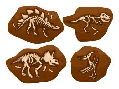 Dinosaur skeleton set with isolated images of archaeological findings stones with bones combined into dino skeletons vector illustration clipart
