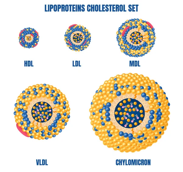 Lipoproteinek Koleszterin Reális Készlet Chylomicron Hdl Szimbólumok Izolált Vektor Illusztráció — Stock Vector
