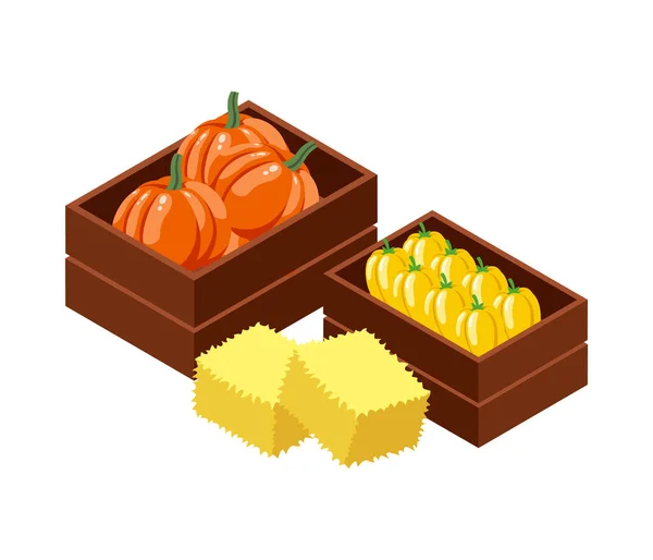 Farm Local Market Isometric Composition Isolated View Wooden Boxes Vegetables — Stockvektor
