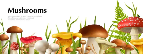 Mushrooms Realistic Horizontal Poster Boletus Champignon Vector Illustration — Stock Vector