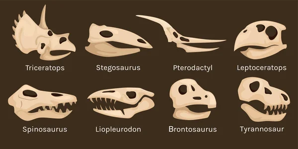 Dinosaur Skeleton Head Set Isolated Icons Skulls Bone Findings Editable — Stockvektor