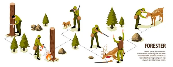 Isometric Forester Forest Ranger Infographics Tree Animals Protecting Vector Illustration — Wektor stockowy