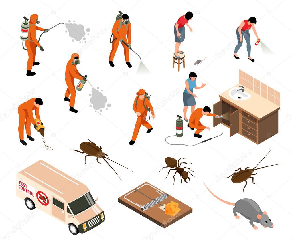 Pest control service isometric set with insects rat and workers using disinfection equipment isolated 3d vector illustration