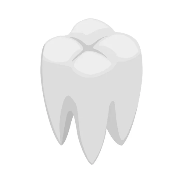 Ізометричний Білий Зуб Людини Порожньому Тлі Векторні Ілюстрації — стоковий вектор