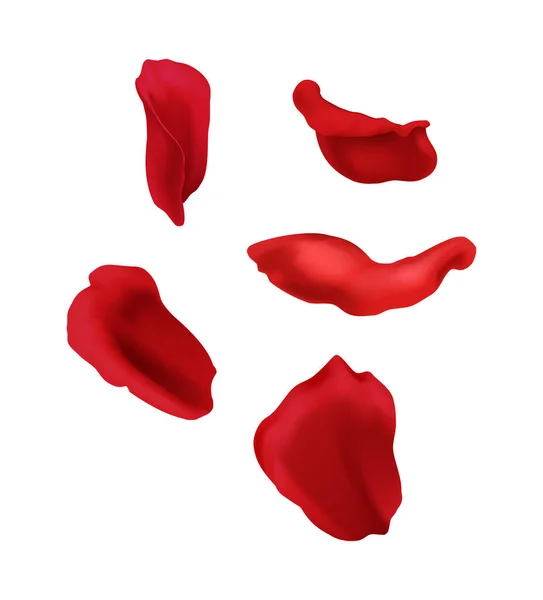 Realistic Red Rose Petals White Background Isolated Vector Illustration — Vector de stock