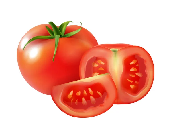 Realistic Fresh Whole Ripe Tomato Vector Illustration — 스톡 벡터