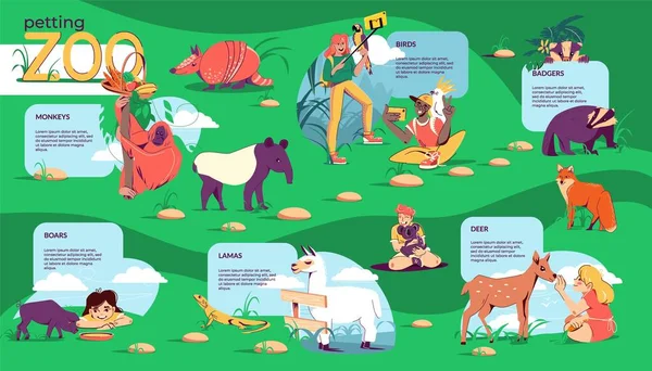Petting Zoo Flat Infographic Composition Conceptual Map Outdoor Wildlife Area — Stock Vector