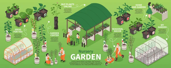 Ισομετρική Infographics Κήπο Φυτώριο Άτομα Που Εργάζονται Φυτό Στην Απεικόνιση — Διανυσματικό Αρχείο