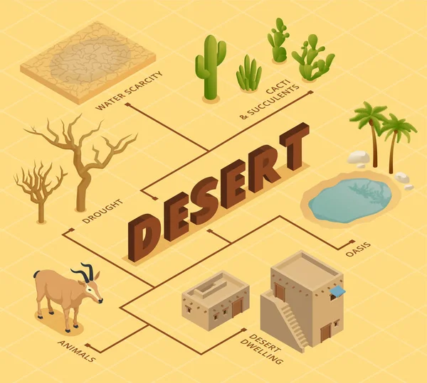 Desert Isometric Flowchart Depicting Water Scarcity Drought Animals Cacti Succulents — 图库矢量图片