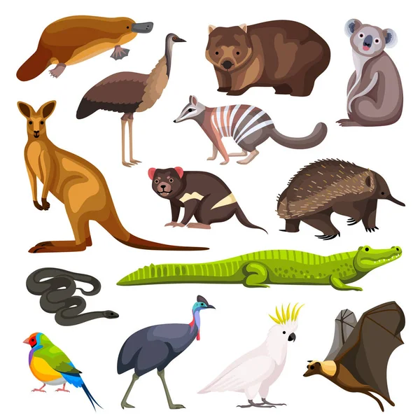 Australian Animals Set Koala Kangaroo Crocodile Lizard Flying Fox Wild — Stock Vector