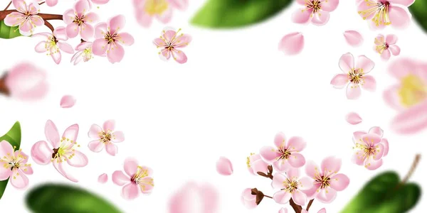 Fruit Tree Branch Frame White Flowers Realistic Vector Illustration — Vetor de Stock